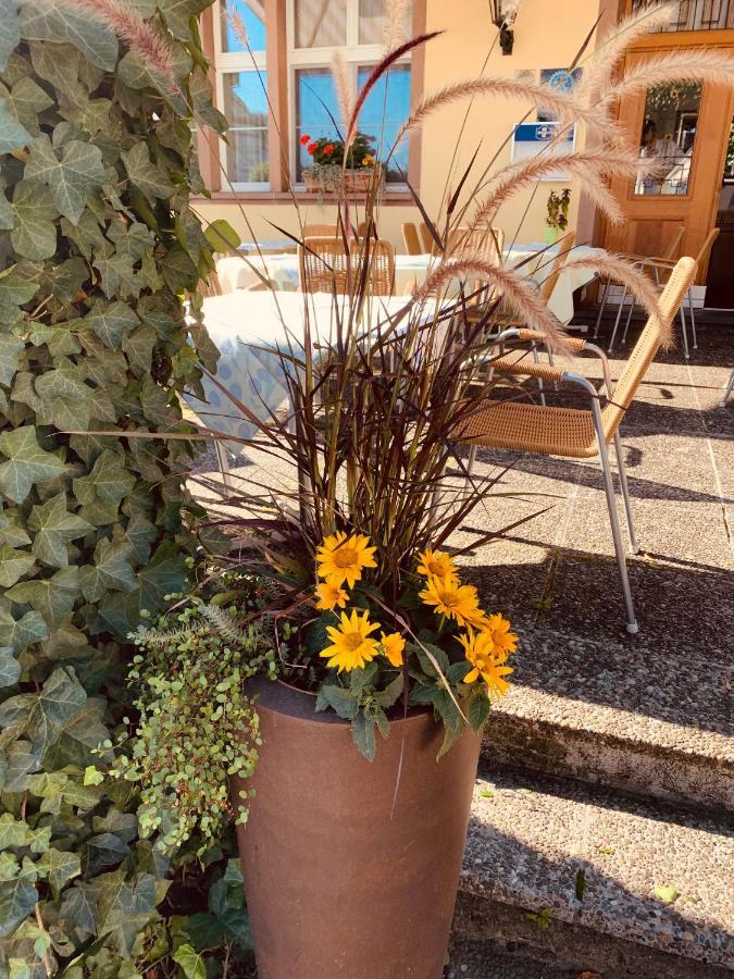 Hotel Roessli Allschwil Eksteriør bilde